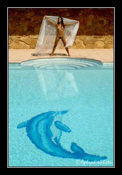 102 Un dauphin dans la piscine